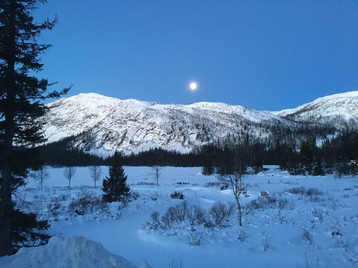 Vila Haglebu Turistheim Exteriér fotografie